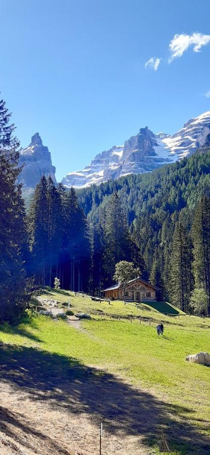 Chalet Brenta Dolomites Villa มาดอนนาดีกัมปิโญ ภายนอก รูปภาพ