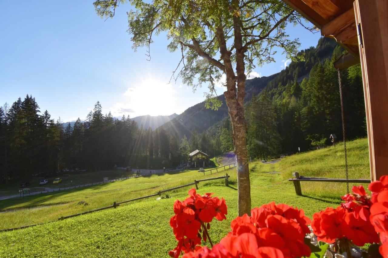 Chalet Brenta Dolomites มาดอนนาดีกัมปิโญ ภายนอก รูปภาพ