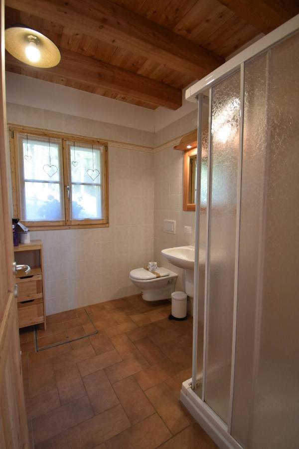 Chalet Brenta Dolomites มาดอนนาดีกัมปิโญ ภายนอก รูปภาพ