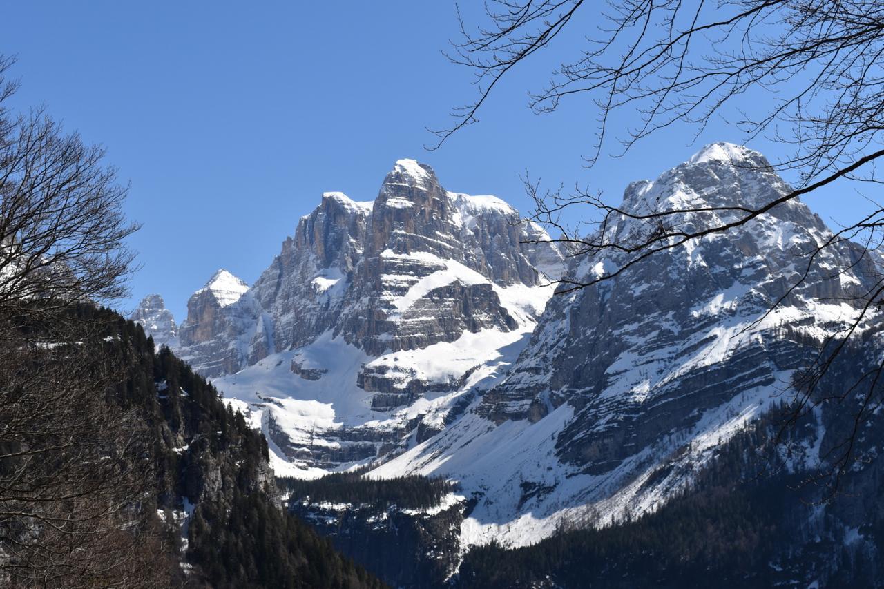 Chalet Brenta Dolomites Villa มาดอนนาดีกัมปิโญ ภายนอก รูปภาพ