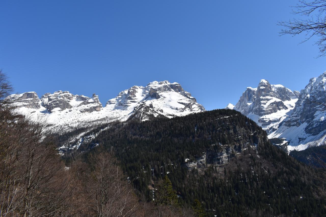 Chalet Brenta Dolomites มาดอนนาดีกัมปิโญ ภายนอก รูปภาพ