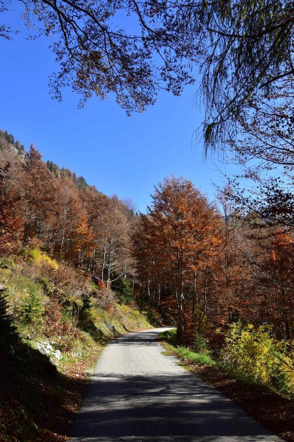 Chalet Brenta Dolomites มาดอนนาดีกัมปิโญ ภายนอก รูปภาพ