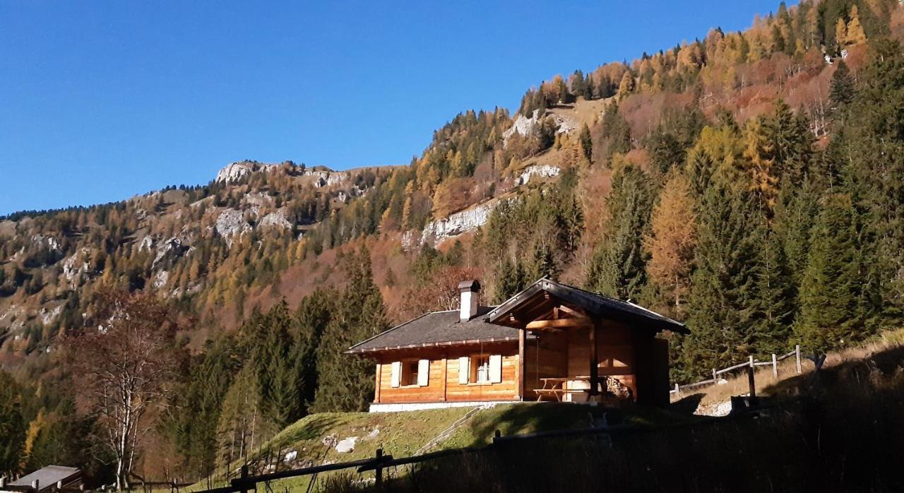Chalet Brenta Dolomites มาดอนนาดีกัมปิโญ ภายนอก รูปภาพ