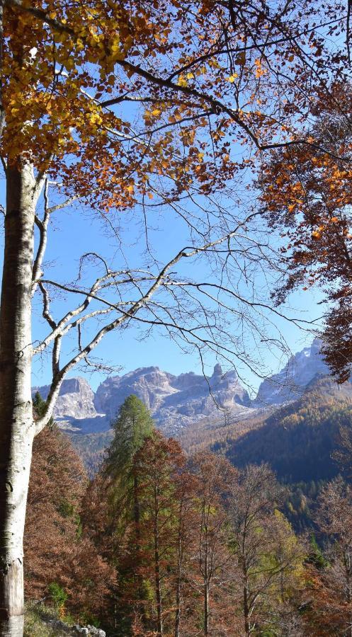 Chalet Brenta Dolomites มาดอนนาดีกัมปิโญ ภายนอก รูปภาพ